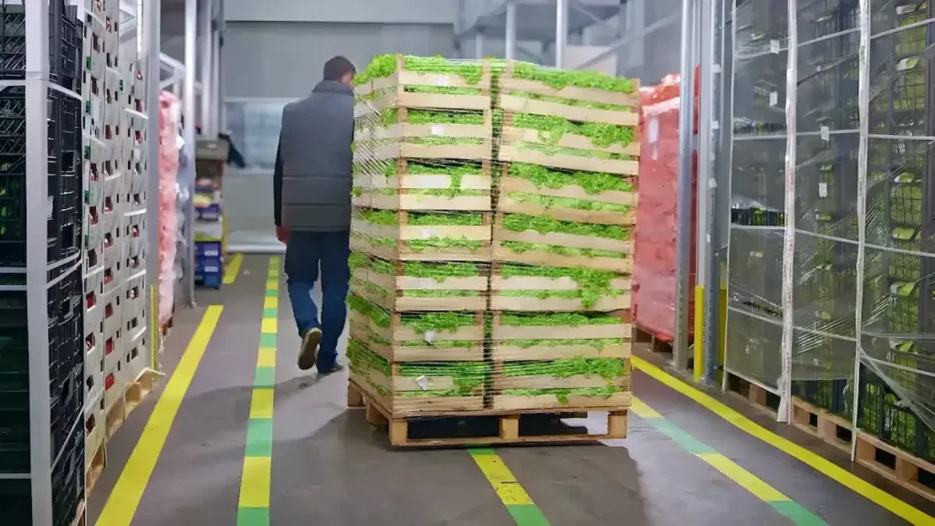 Halden Sofraya Tedarik Süreci Nasıl İşler?